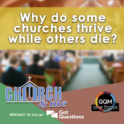 Why do some churches thrive while others die?