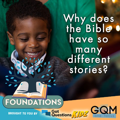 Why does the Bible have so many different stories?