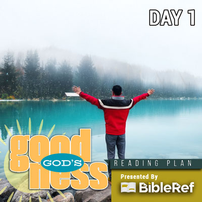 Bible Reading Plan, day 1