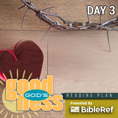 Bible Reading Plan, day 3