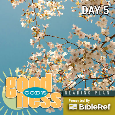 Bible Reading Plan, day 5