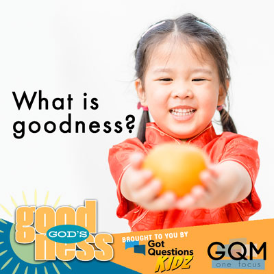 What is goodness?