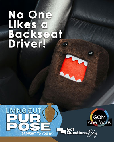 No One Likes a Backseat Driver! 