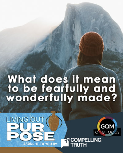 What does it mean to be fearfully and wonderfully made?