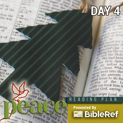 Bible Reading Plan, day 4