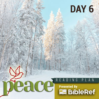 Bible Reading Plan, day 6