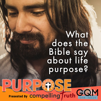 What does the Bibile say about life purpose?