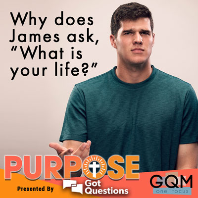 Why does James ask, 'What is your life?'