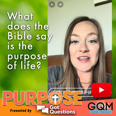 What does the Bible say about the meaning of life?