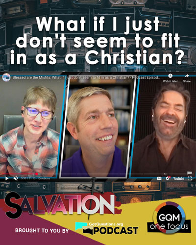 Blessed are the Misfits: What if I just don't seem to fit in as a Christian?